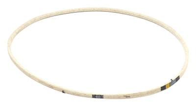 1601672SM V-Belt - 61.10