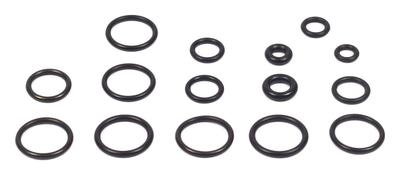 200346GS O-Ring Kit