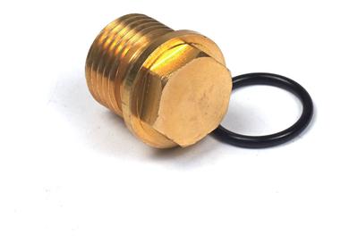 201495GS Plug
