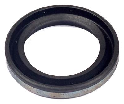 299819S Oil Seal