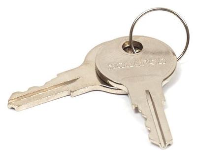 314290GS Latch Key