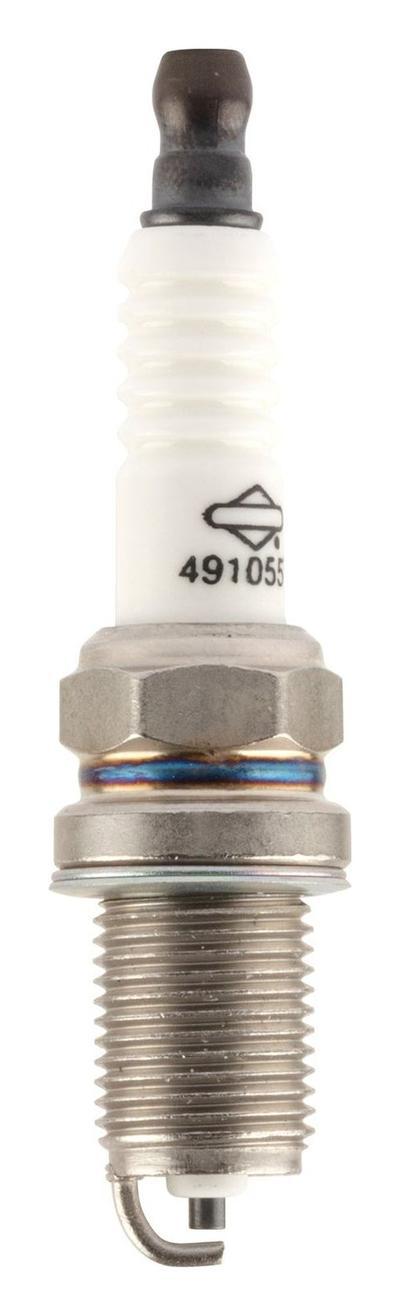 491055S Spark Plug