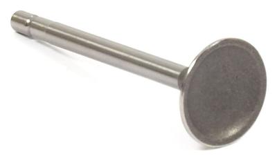555551 Intake Valve
