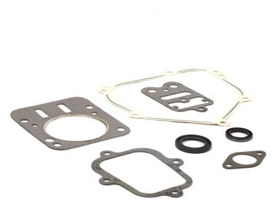 555631 Engine Gasket Set