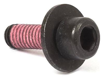 555644 Screw
