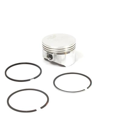 555660 Piston Assembly