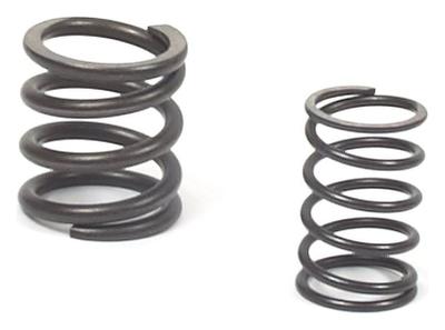 557024 Valve Spring