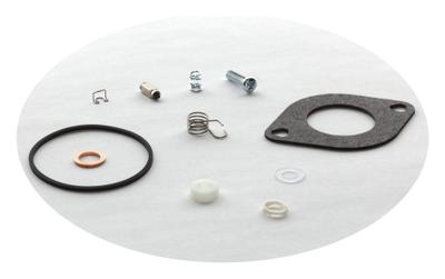 594886 Carburetor Overhaul Kit