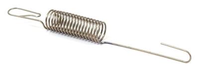 596459 Governor Spring
