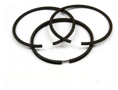 690019 Ring Set - .020 Oversize