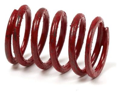 691597 Valve Spring