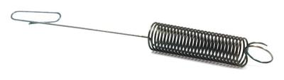 691862 Governor Spring