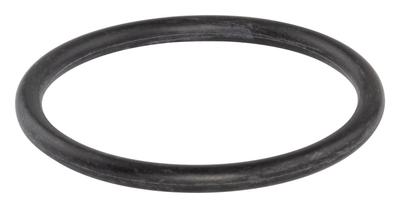691870 O-Ring Seal