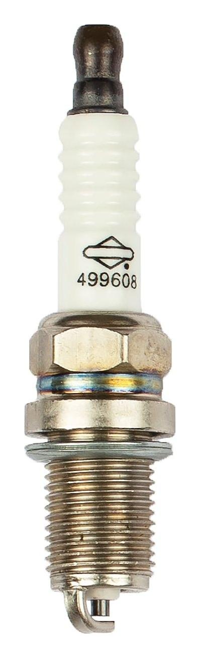 692051 Spark Plug