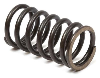 692084 Valve Spring