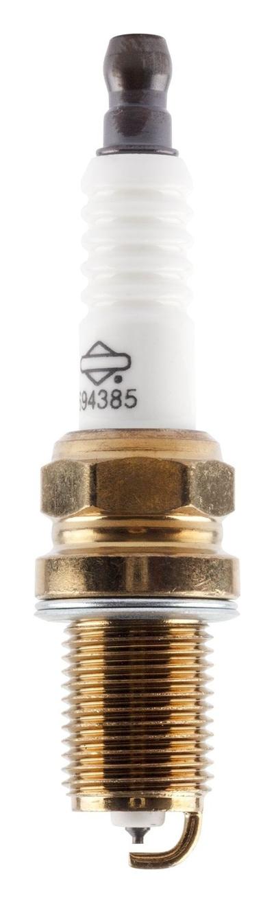696202 Spark Plug
