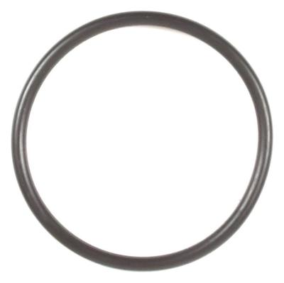 697123 O-Ring Seal