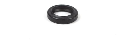 790574 Governor Shaft Seal