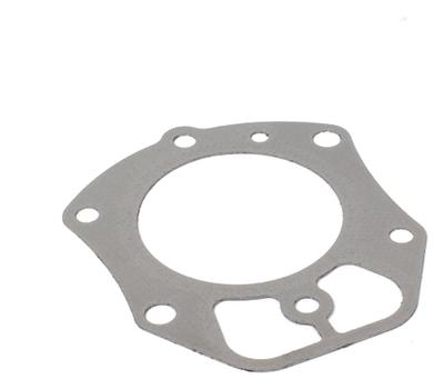809730 Cylinder Head Gasket