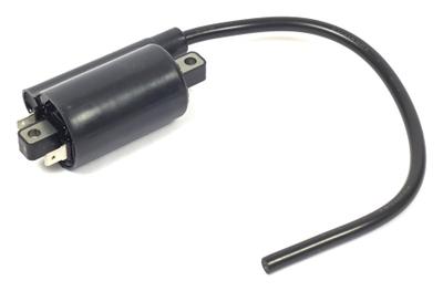 820037 Ignition Coil