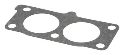 841882 Intake Gasket