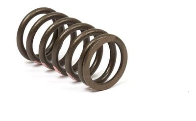 845589 Valve Spring