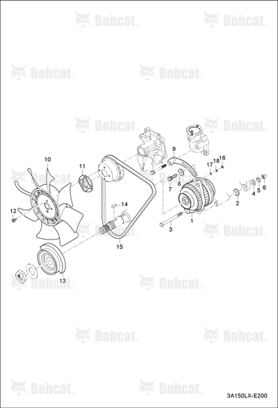 Belt, Fan