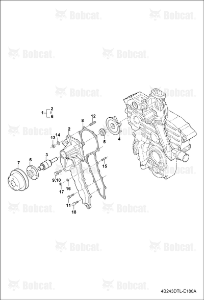 Bolt Timing