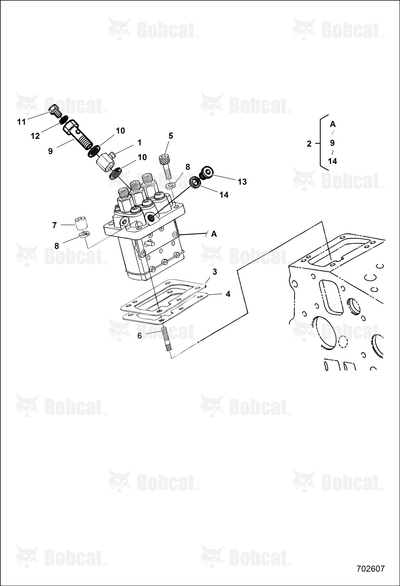 Shim Injection