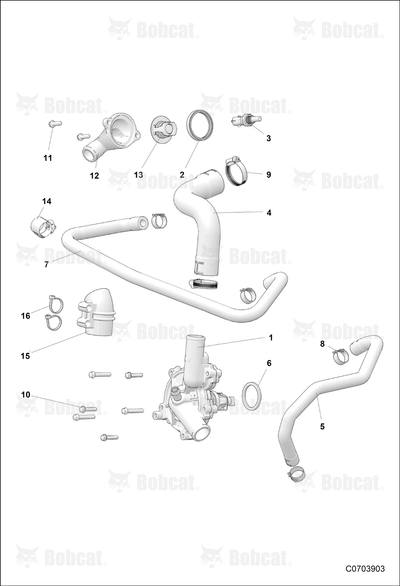 Support Stator