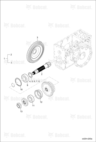 Pinion Spiral Bevel