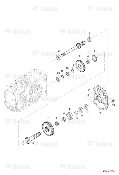 Bearing Needle