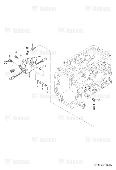 Stem Valve