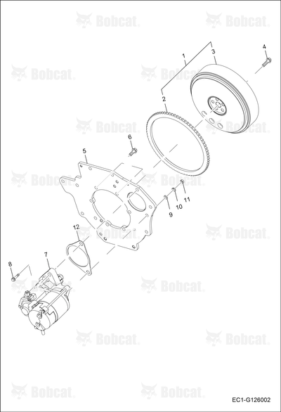 Starter Assembly