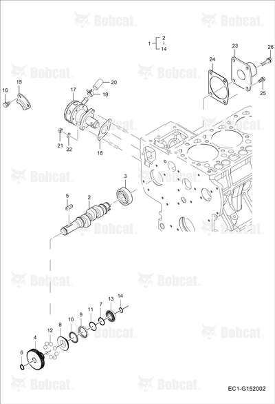 Bearing (6004C3)