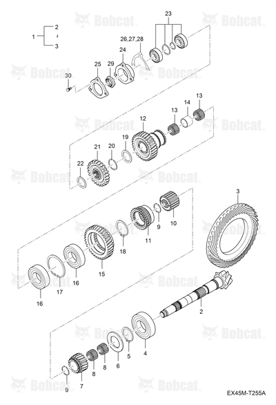 Gear Pinion