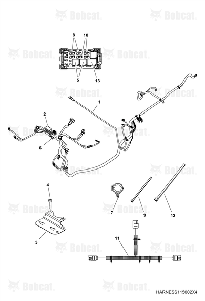 Harness, Chassis
