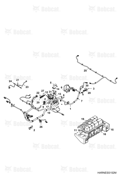 Harness, Chassis