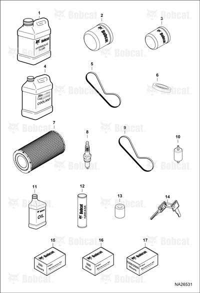 Plug Spark