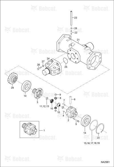 Shim