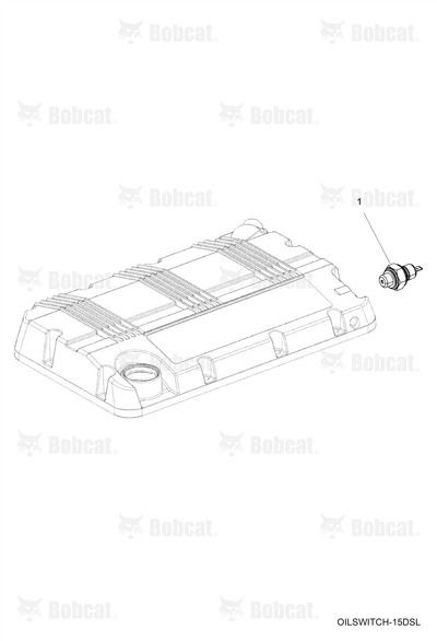 Switch Press Oil Eng