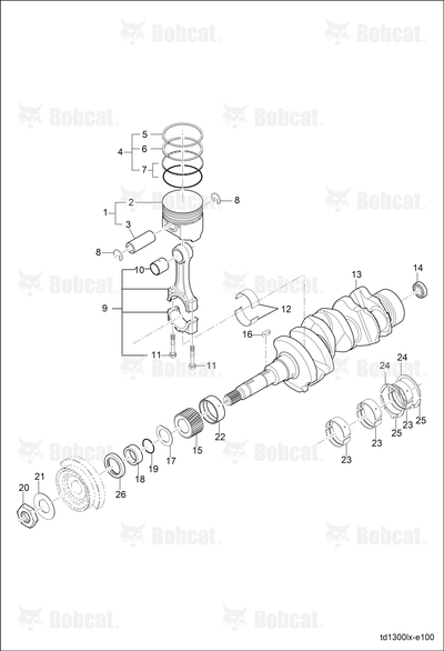 Ring Oil Assembly