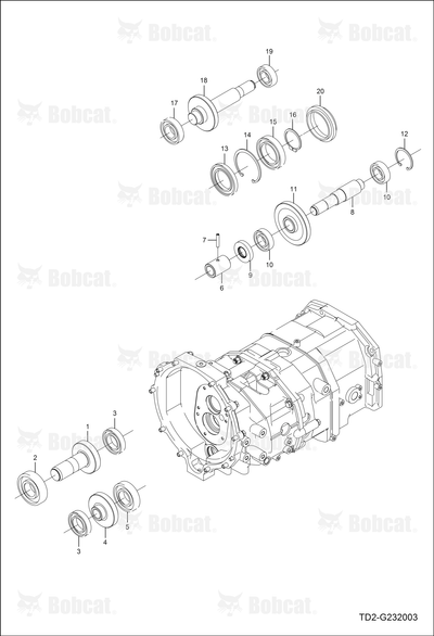 Shaft Gear