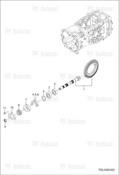 Case Bearing