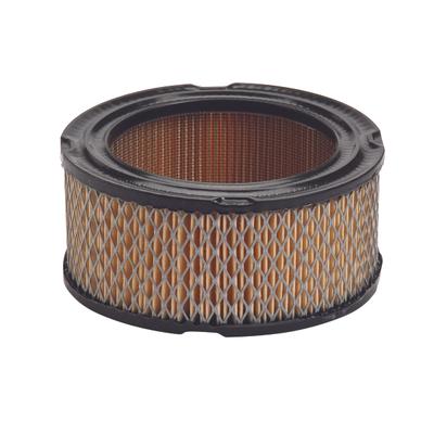 30-022 AIR FILTER BRIGGS