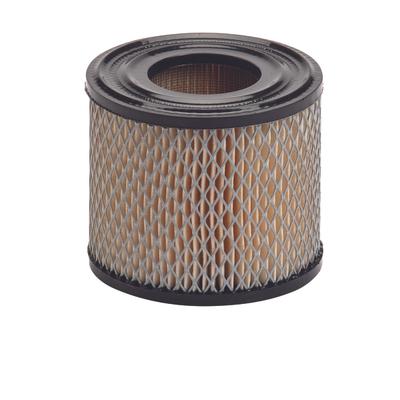30-044 AIR FILTER BRIGGS