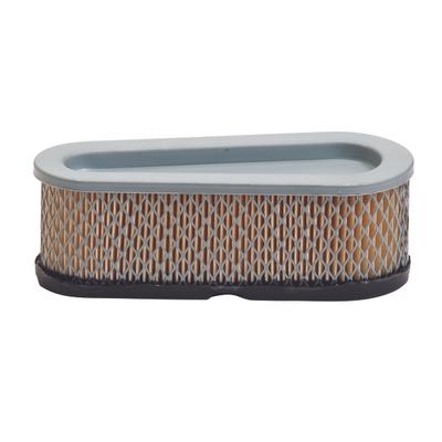 30-048 AIR FILTER BRIGGS
