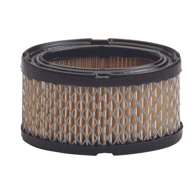 30-100 AIR FILTER TECUMSEH