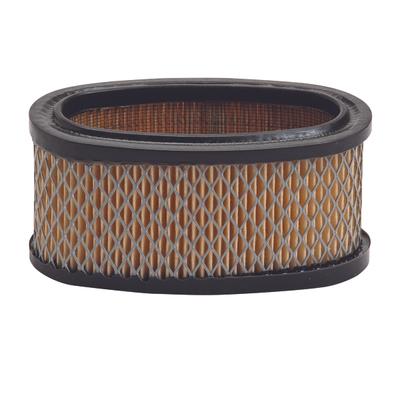 30-105 AIR FILTER BRIGGS