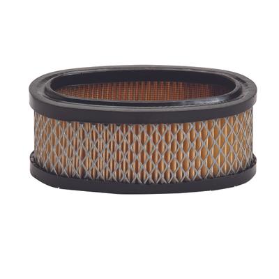 30-106 AIR FILTER BRIGGS